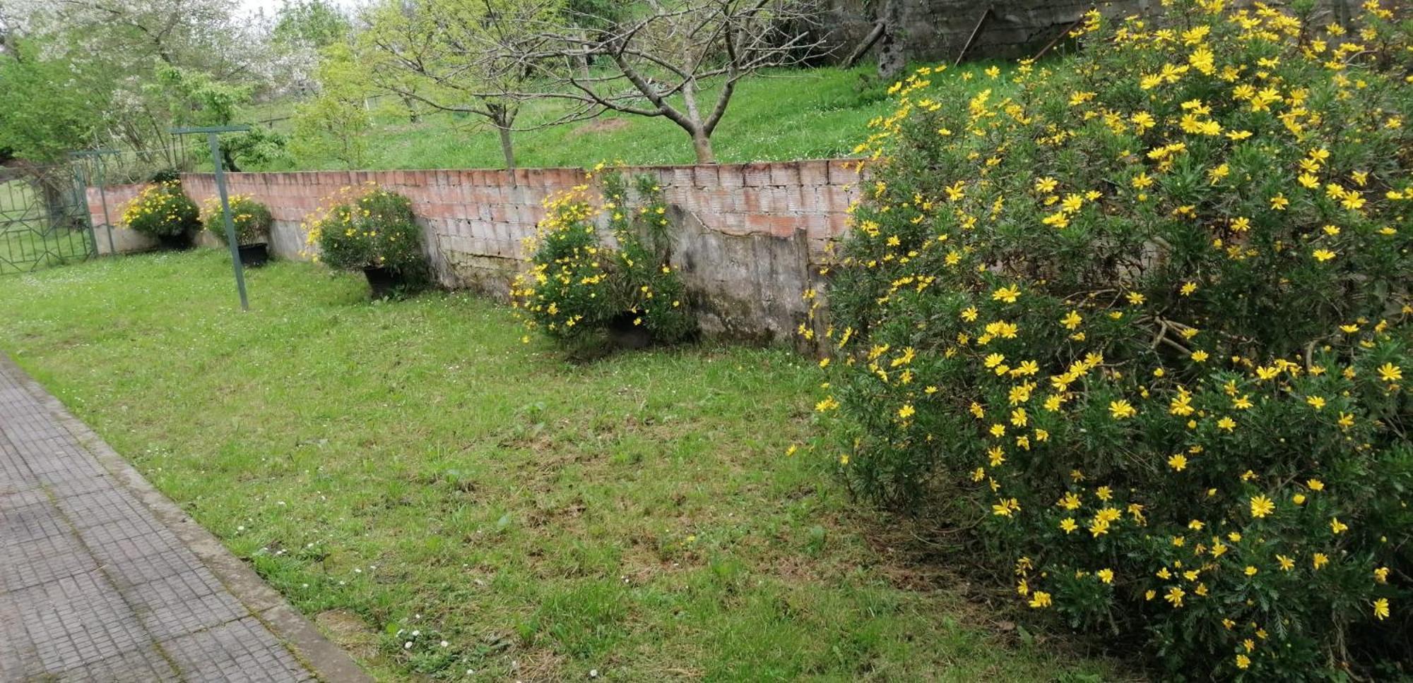 Fondu La Llosa - Casita Cerca De Gijon - Vv-662-As Villaviciosa  Exterior photo